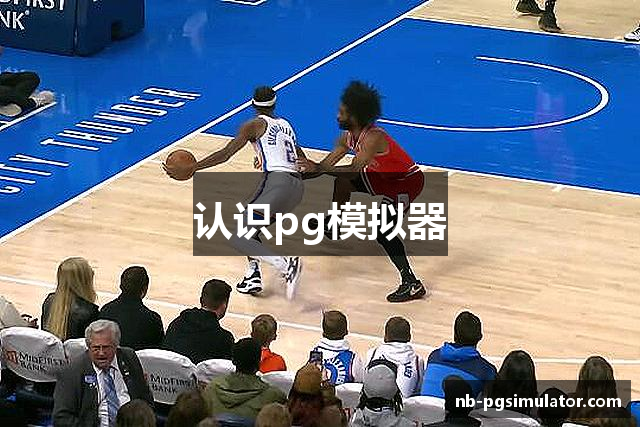 认识pg模拟器